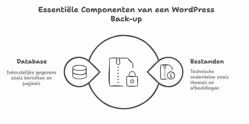 WordPress Back-up maken - afbeelding van wat je moet backuppen